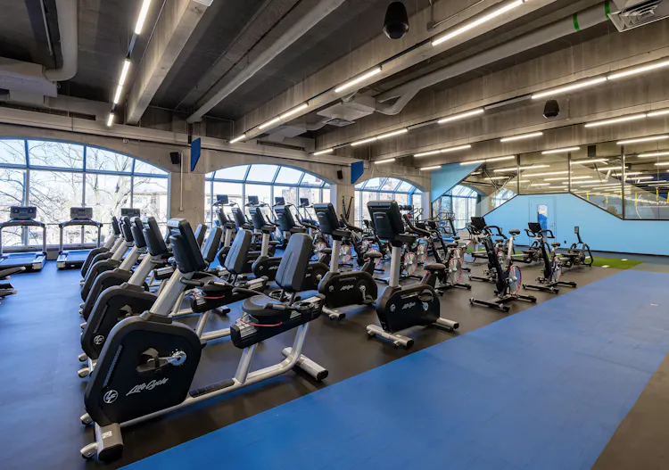 Zone d'entrainement cardiovasculaire - Salle d'entrainement du CEPSUM