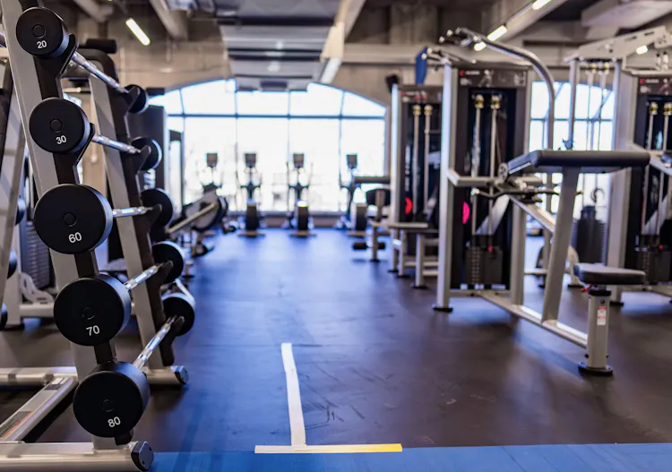 Zone d'appareils plate loaded et à charge sélective - Salle d'entrainement du CEPSUM