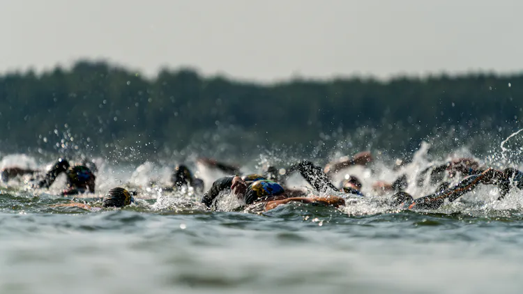 Adobe Stock 289350437