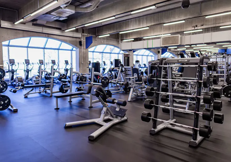 Zone d'appareils plate loaded - Salle d'entrainement du CEPSUM