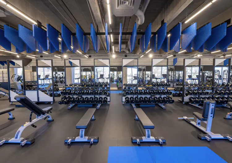 Zone de poids libres et de lifting - Salle d'entrainement du CEPSUM